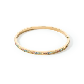 Bangle stainless steel & crystals slim gold multicolour pastel 17