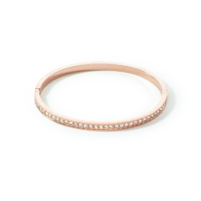 Bangle stainless steel & crystals slim rose gold crystal 17