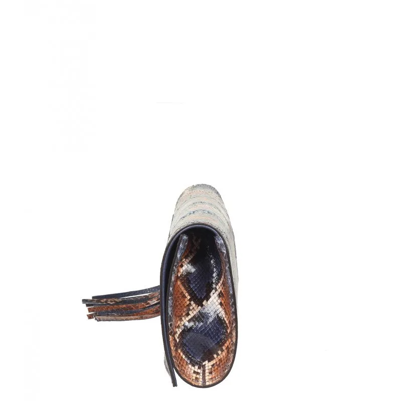 Gucci Blue & brown python Soho clutch