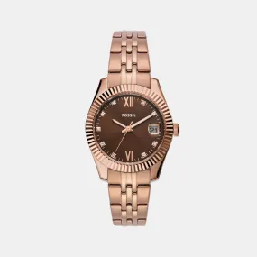 Women's Brown Analog Stainless Steel Watch ES5324
